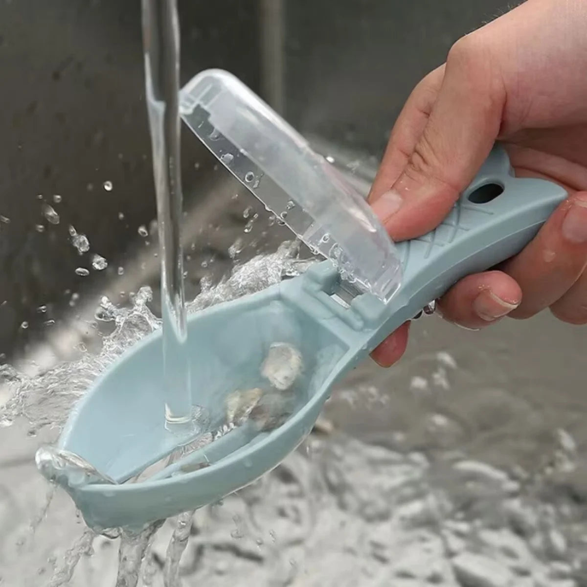 Fish Cleaner Scraper/De-Scaler with Scale Collector