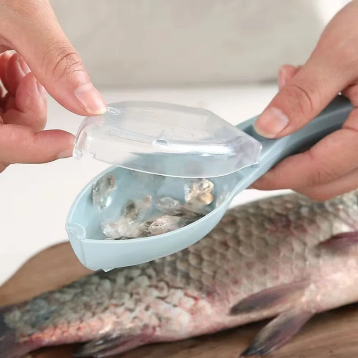 Fish Cleaner Scraper/De-Scaler with Scale Collector