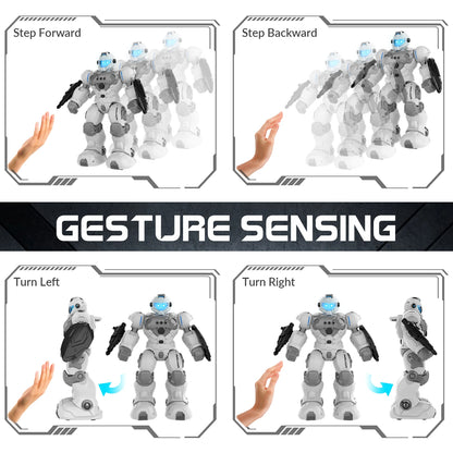 Programmable Remote Control Robot with Intelligent Gesture Sensing