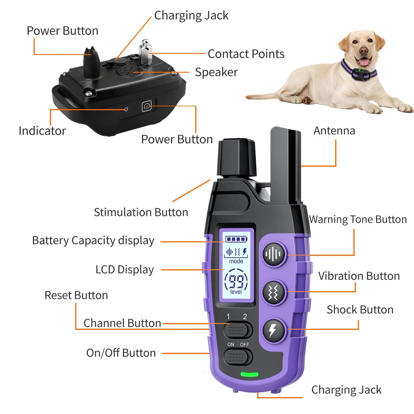 3300Ft Waterproof Dog Training Collar with Remote Control for Pet Behavior