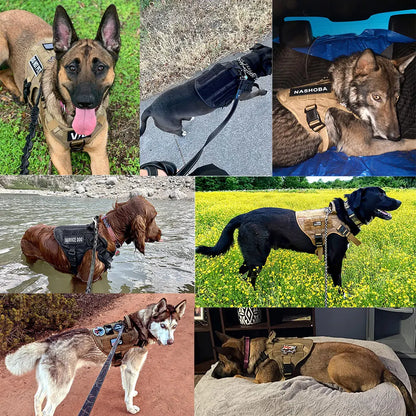 Harness And Leash Training Walking Harness Medium Large Dogs