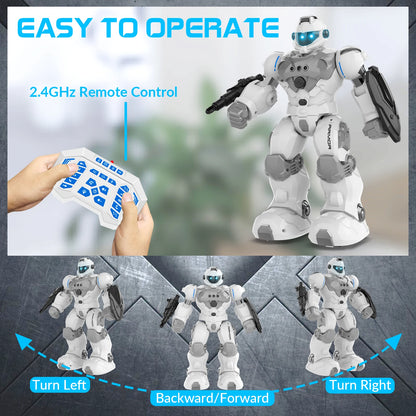 Programmable Remote Control Robot with Intelligent Gesture Sensing