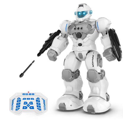 Programmable Remote Control Robot with Intelligent Gesture Sensing